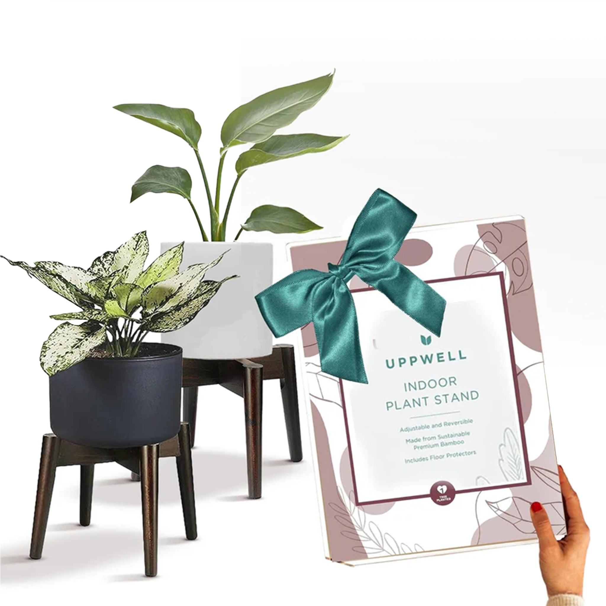 adjustable plant stand indoor Acacia Wood Plant Stand (2-pack)