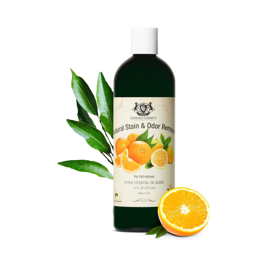Gerrard Larriett Pet Stain & Odor Remover - Enzymatic Cleaner with Citrus Oil, 16 oz