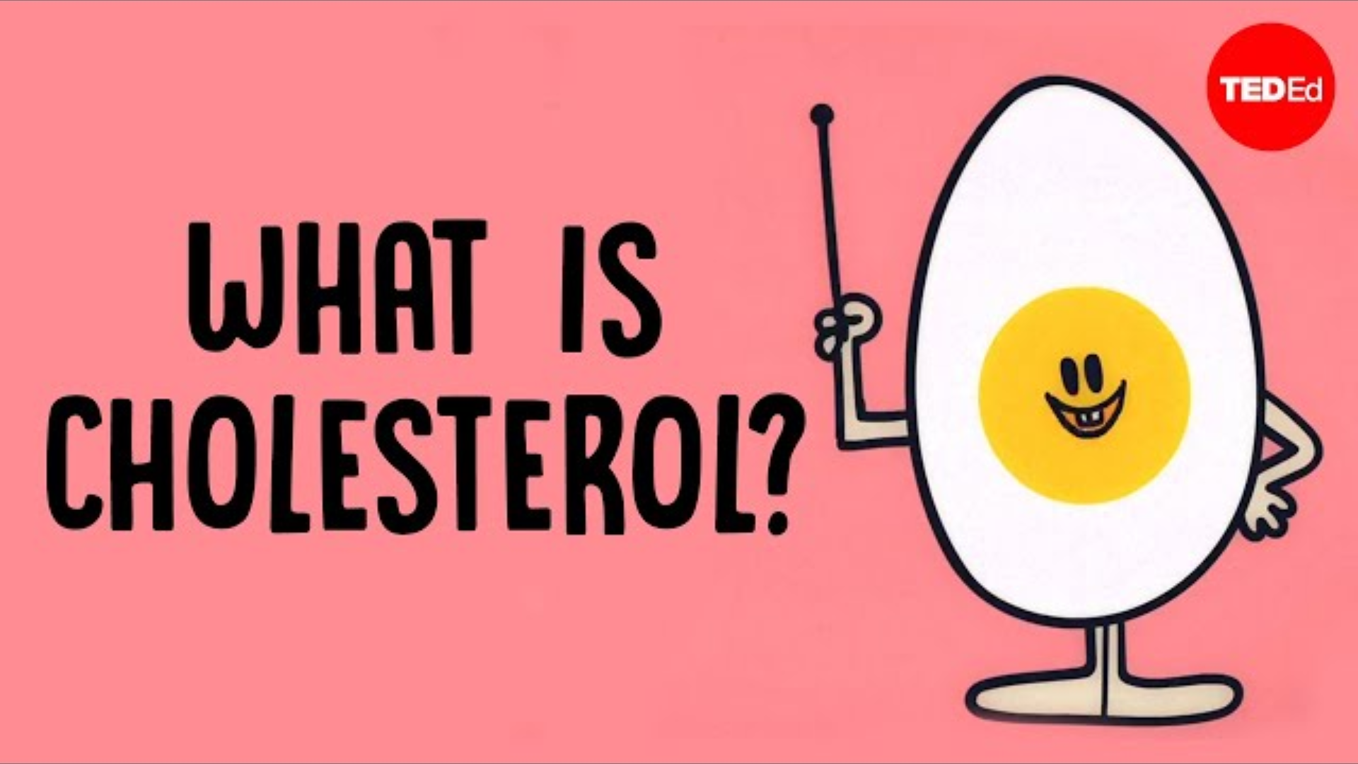 What Actually Causes High Cholesterol?