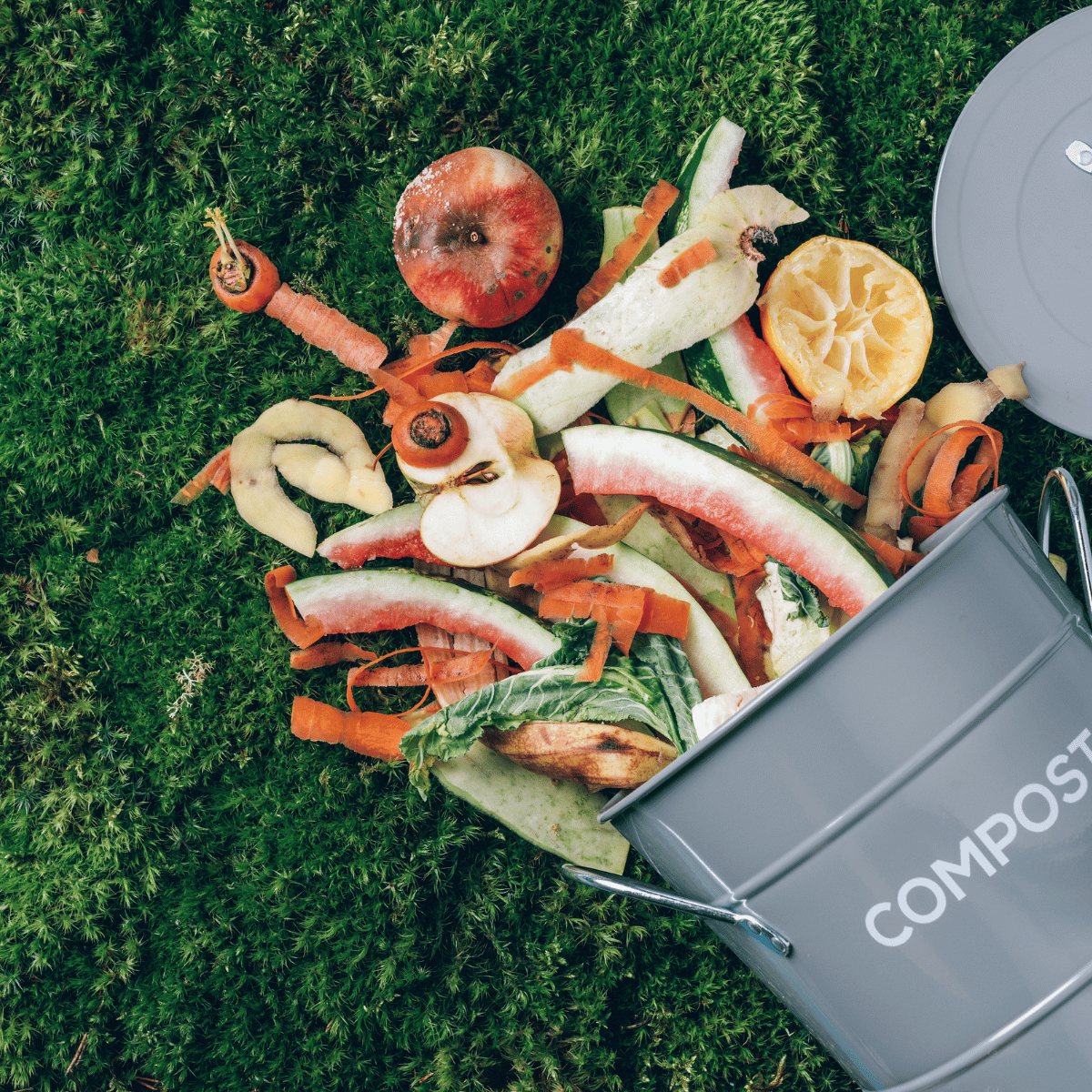 Composting 101: Your Ultimate Step-by-Step Guide