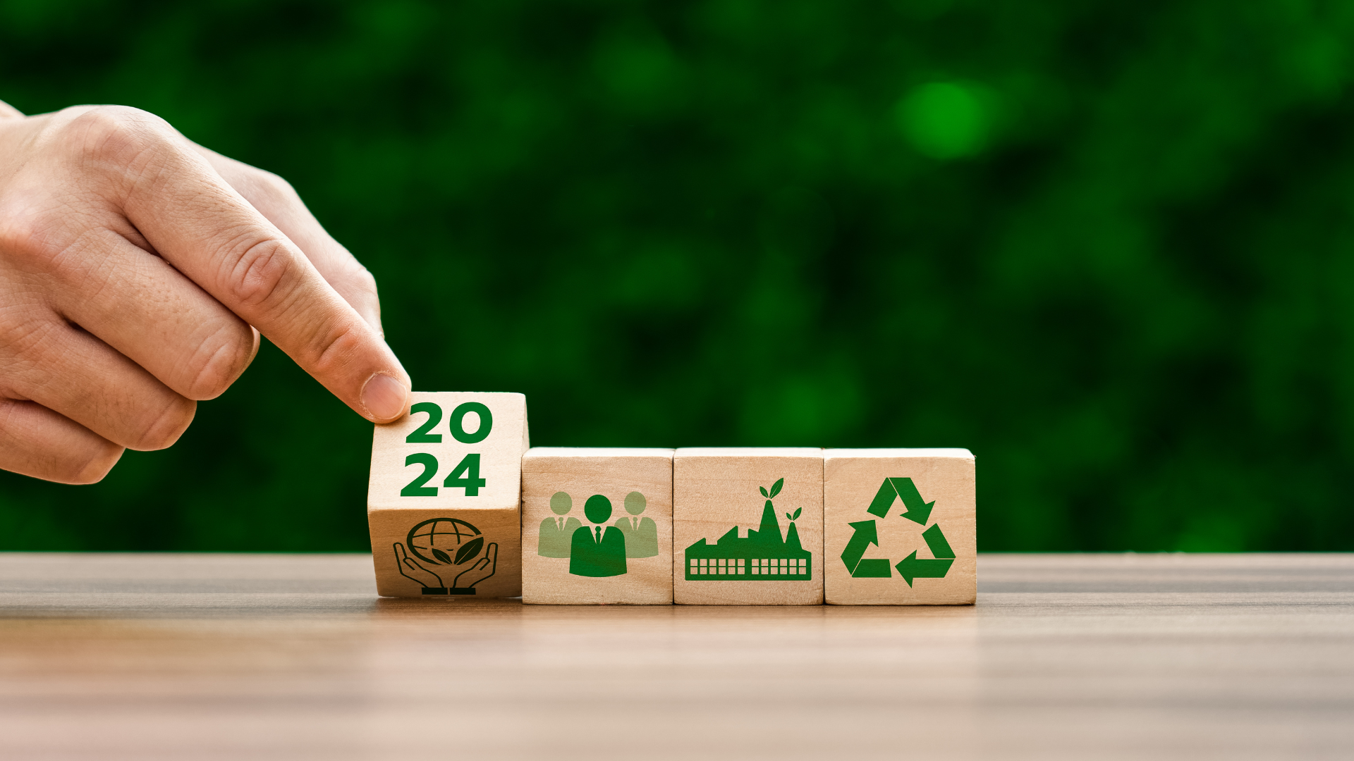 Sustainable Stars: Flora's Top 3 Sustainable Brands