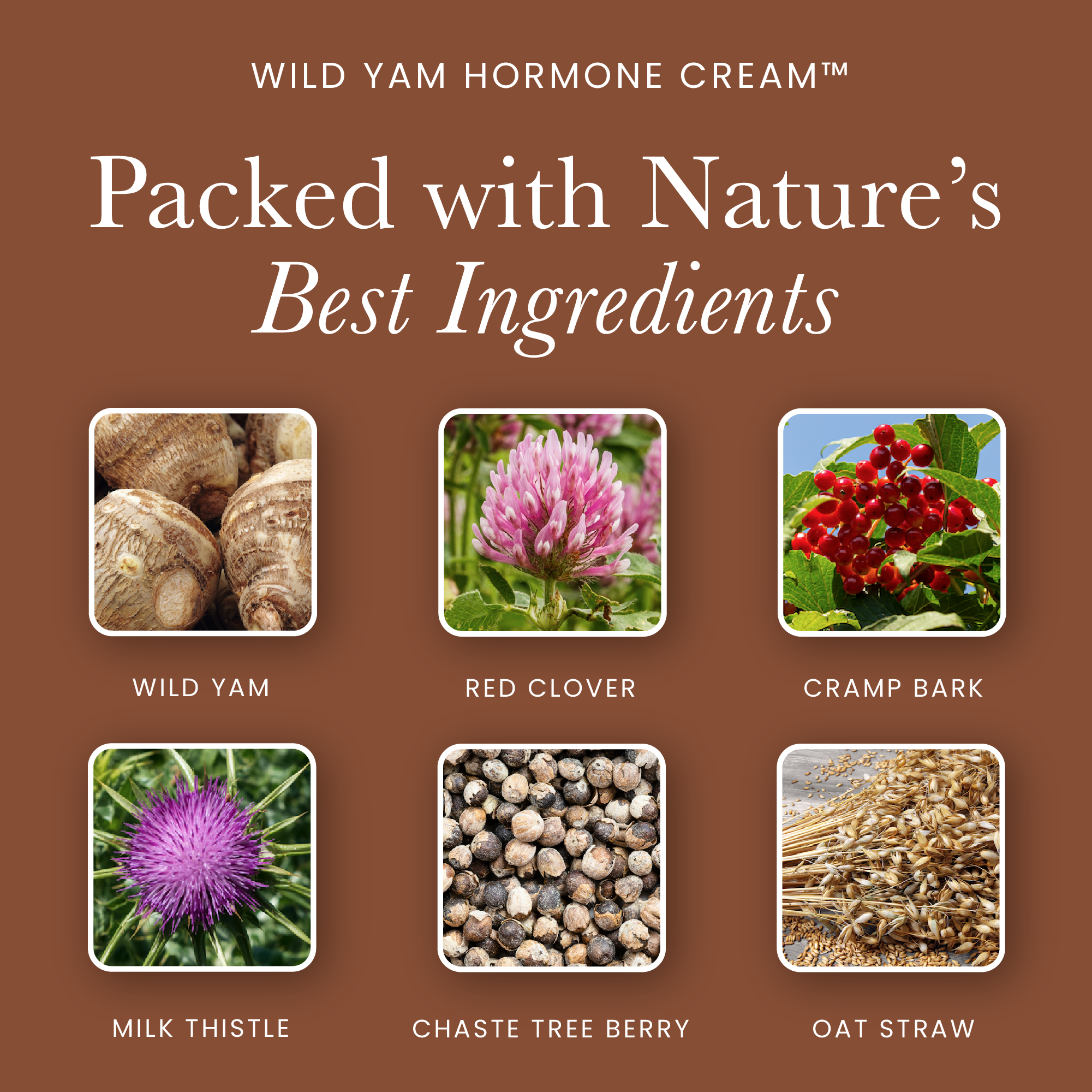 Hormone Cream | Wild Yam Extract, 4 oz.