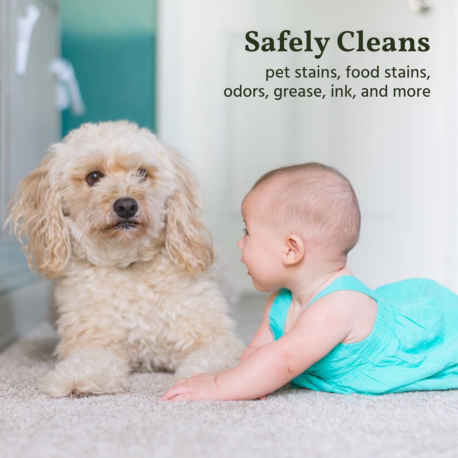 naturally it's clean Pet Stain & Odor Remover - Plant-Enzyme Powered, Biodegradable - 24oz x 2 Pack