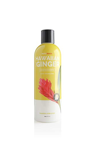 Bark 2 Basics Hawaiian White Ginger Dog Shampoo - Nourishing Herbal Blend, 16oz