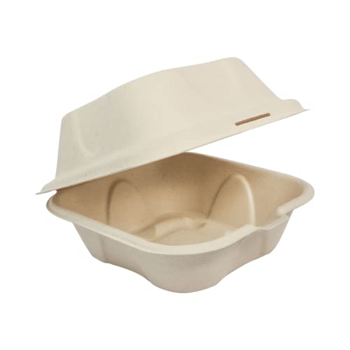 World Centric Compostable Utensils - 100% Plant Fiber, Soak Proof, 500 Pack - 6x6x3