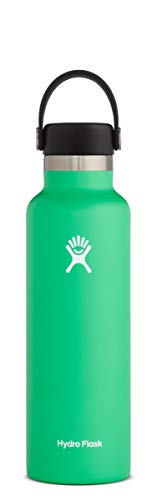 Hydro Flask Reusable Water Bottle - Insulated, BPA-Free, Dishwasher Safe - 21oz Spearmint