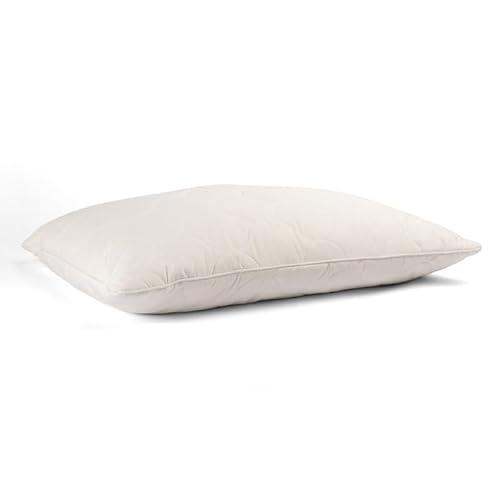 Sleep & Beyond Mywoolly Pillow Case - 100% Natural Wool, Moisture Control - Queen 20x30, Ivory