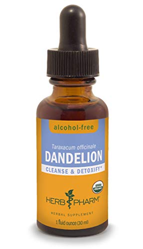 Herb Pharm Dandelion Liquid Extract - Supports Detoxification, Organic & Alcohol-Free - 1oz