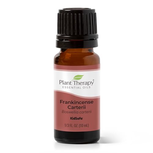 Plant Therapy Frankincense Carteri Essential Oil - Boost Immunity, 100% Pure, 10 mL