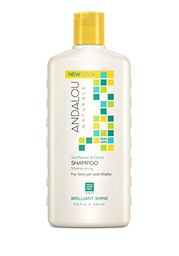 Andalou Naturals Shampoo - Nourishes & Brightens for Glossy Shine, Vegan - 11.5oz