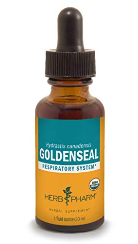 Herb Pharm Goldenseal Herbal Supplement - Respiratory & Immune Support, Organic - 1oz