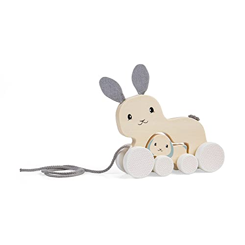 Bigjigs Toys Bunny & Baby Pull Along - Promotes Walking, FSC Certified Wood - 1 Year Olds