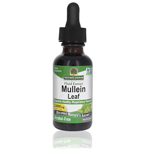 Nature's Answer Mullein Leaf Extract - Supports Respiratory Health, Non-GMO, Alcohol-Free - 1oz