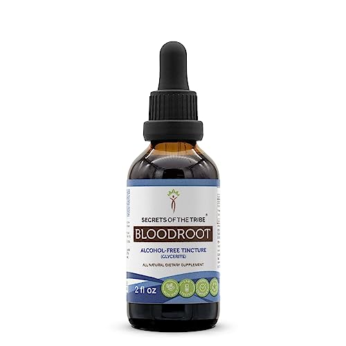 Secrets of the Tribe Bloodroot Tincture - Alcohol-Free Herbal Extract, High Potency - 2 FL OZ