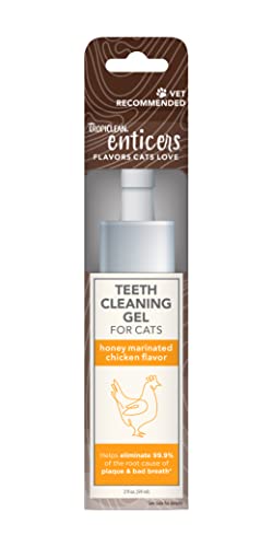 TropiClean Cat Dental Care Kit - Eliminates Bad Breath, Natural Ingredients - 2oz Honey Chicken