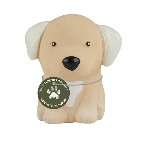 HEVEA Dog Chew Toy - Natural Rubber for Sore Gums, Vegan & Biodegradable - For All Breeds