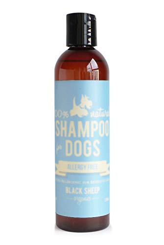 Black Sheep Organics Dog Shampoo - Hypoallergenic, Unscented, Natural Oils - 16oz