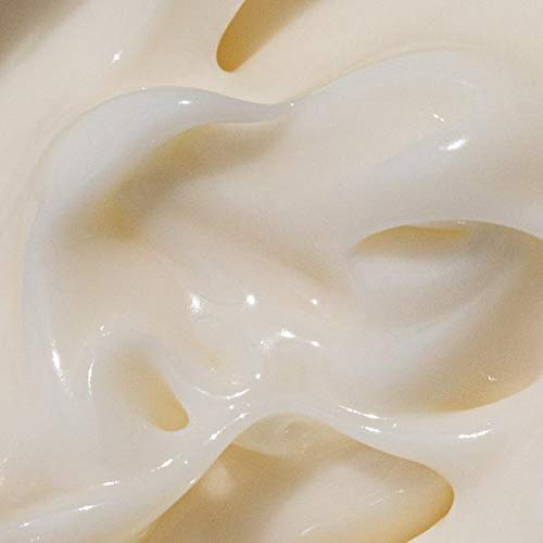 Moon Juice Cosmic Cream - Vegan Collagen Moisturizer with Ashwagandha & Mushrooms - 1.7oz