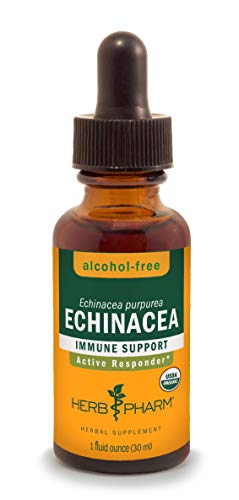 Herb Pharm Organic Echinacea Root Extract - Immune System Support, Vegan & Gluten-Free - 1 Oz