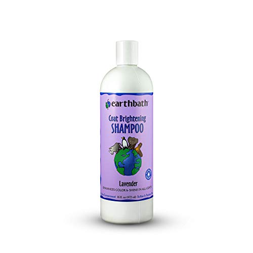 Earthbath Dog Shampoo - Enhances Coat Color & Shine, Natural Ingredients - Lavender, 16 oz