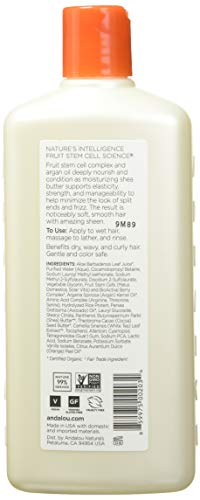 Andalou Naturals Argan Oil Shampoo - Repair & Renew with Fruit Stem Cell Science - 11.5oz