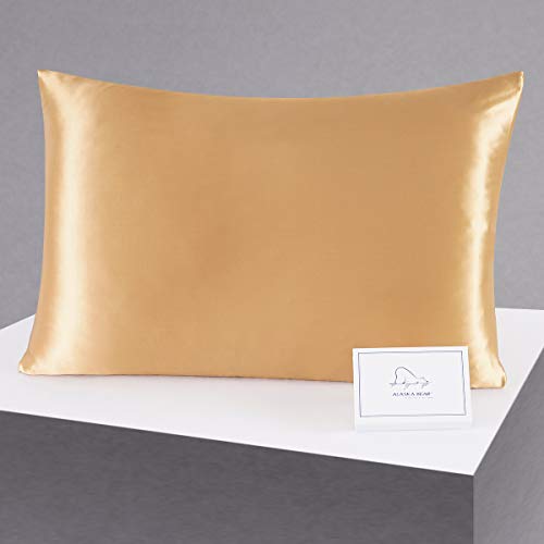 ALASKA BEAR Silk Pillowcase - Pure 22 Momme Mulberry Silk for Skin & Hair Health, Queen Size