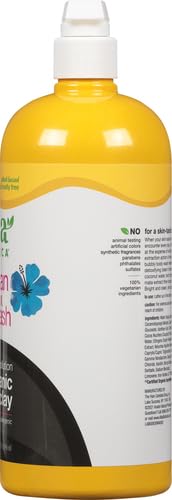 Alba Botanica Body Wash - Detoxifies with Volcanic Clay, Plant-Based Ingredients - 32oz