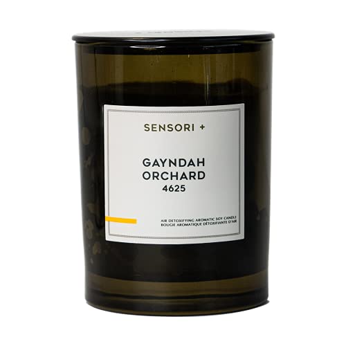 SENSORI+ Detoxifying Soy Candle - Eliminates Odors, Plant-Based Fragrance, 260g