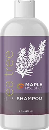 Maple Holistics Tea Tree Shampoo - Nourishing Scalp Cleanser, Paraben & Sulfate Free - 16oz