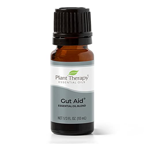 Plant Therapy Gut Aid Essential Oil Blend - Supports Healthy Digestion, Minty Scent - 10 mL