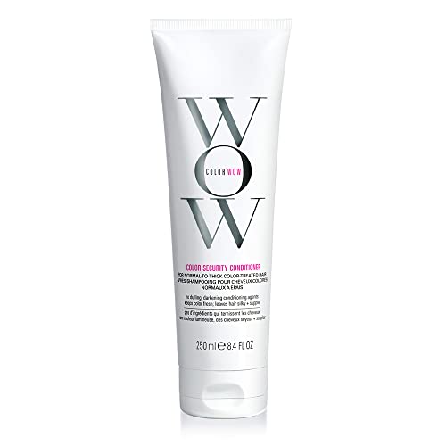 COLOR WOW Color Security Conditioner - Hydrates, Detangles & Protects for Glossy Thick Hair - 8.5oz