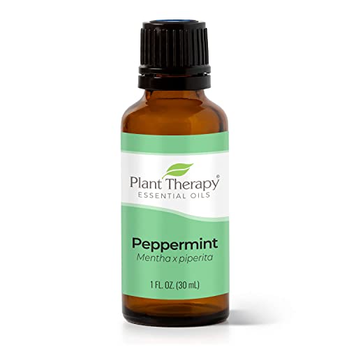 Plant Therapy Peppermint Essential Oil - Promotes Alertness & Clarity, 100% Pure - 30 mL