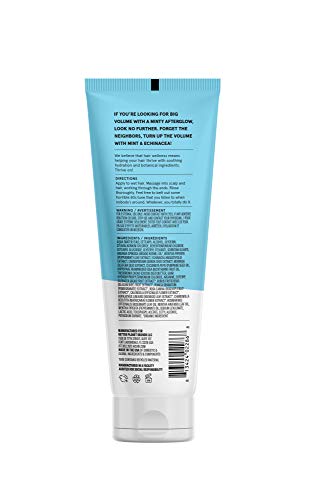 Acure Vivacious Volume Conditioner - Boosts Fine Hair Volume, Mint & Echinacea - 8 Fl Oz