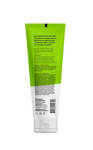 ACURE Clarifying Shampoo - Removes Buildup, Boosts Shine, Lemongrass & Argan - 8 Fl Oz