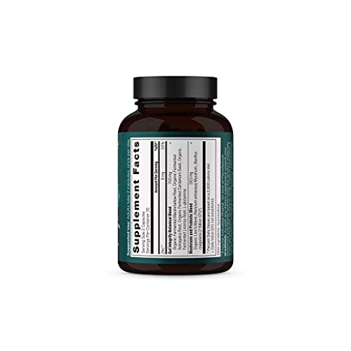 Ancient Nutrition Probiotic - Supports Gut Health, Gluten-Free, Paleo, Keto - 60 Capsules