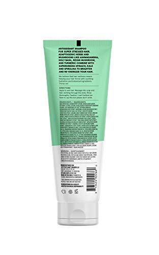 Acure Shampoo - Antioxidant Boost for Stressed Hair, Vegan with Ashwagandha & Supergreens - 8 Fl Oz