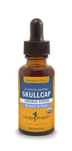 Herb Pharm Skullcap Liquid Extract - Nervous System Support, Organic & Alcohol-Free - 1 Fl Oz