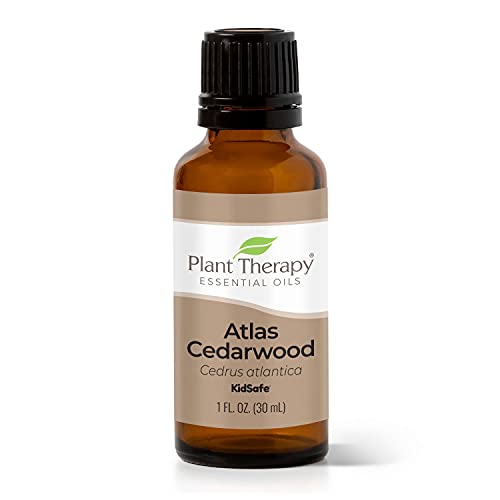 Plant Therapy Atlas Cedarwood Essential Oil - Promotes Calm, Supports Healthy Scalp - 30 mL