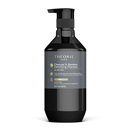 Theorie Charcoal Detox Shampoo - Purifies, Nourishes Color & Keratin Treated Hair - 400mL