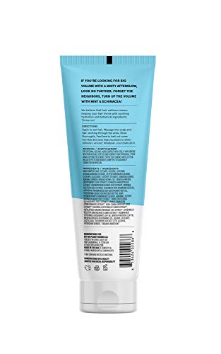 Acure Vivacious Volume Shampoo - Boosts Volume & Hydration, Mint & Echinacea Infusion - 8 Fl Oz