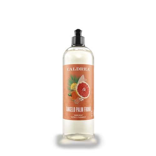 Caldrea Dish Soap - Gentle Cleansing with Aloe Vera, Tangelo Palm Frond Scent - 16oz