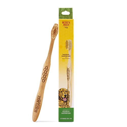 Burt's Bees Bamboo Dog Toothbrush - Gentle Clean, Biodegradable, Ergonomic Design - Soft Bristles