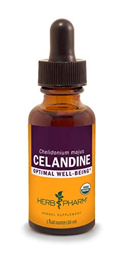 Herb Pharm Celandine Liquid Extract - Organic, Vegan, Rapid Absorption - 1 Fl Oz