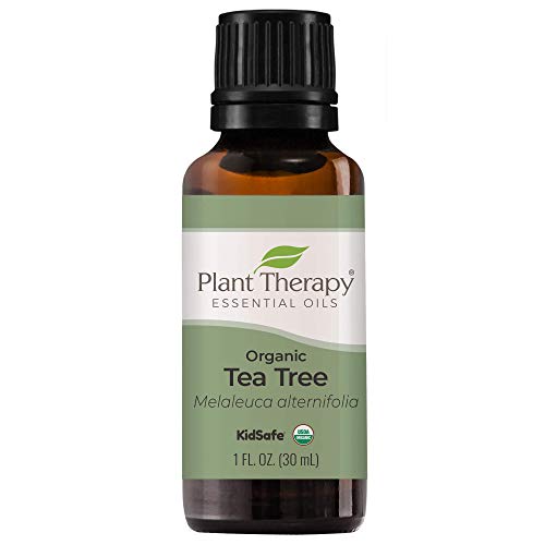 Plant Therapy Organic Tea Tree Oil - Heals Skin, USDA Certified Organic, 100% Pure - 30 mL