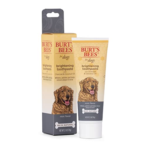 Burt's Bees for Pets Dog Toothpaste - Whitens & Polishes with Charcoal & Coconut Oil - 2.5oz