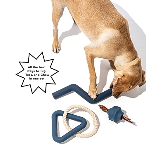 Wild One Dog Toy Kit - Durable Natural Rubber Set for Tug, Fetch, and Chew - 3 Toys