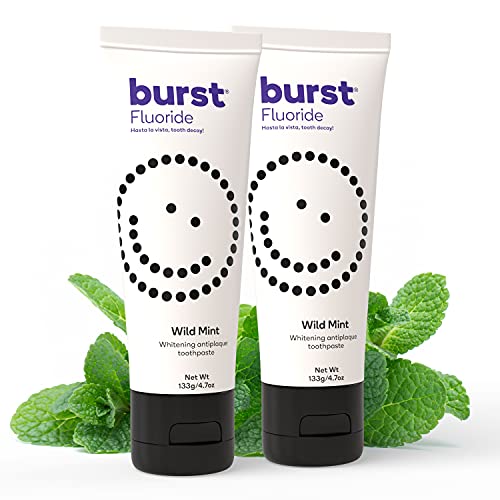 BURST Toothpaste - Cavity Prevention, Whitening, Vegan, Gluten-Free - Wild Mint, 4.7oz (2 Pack)