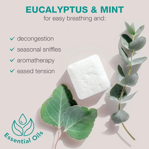 Aromatherapy Shower Steamer Gift Set - Eucalyptus Essential Oil, Relaxation & Congestion Relief