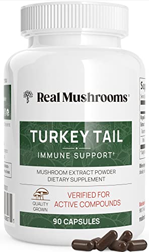 Real Mushrooms Turkey Tail Capsules - Immune & Gut Support, 100% Organic Mushroom Extract - 90 Caps