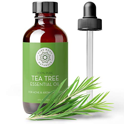 Pure Body Naturals Tea Tree Essential Oil - Therapeutic Grade for Skin, Hair & Diffuser - 4 Fl Oz